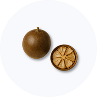 Organic Monk Fruit Extract