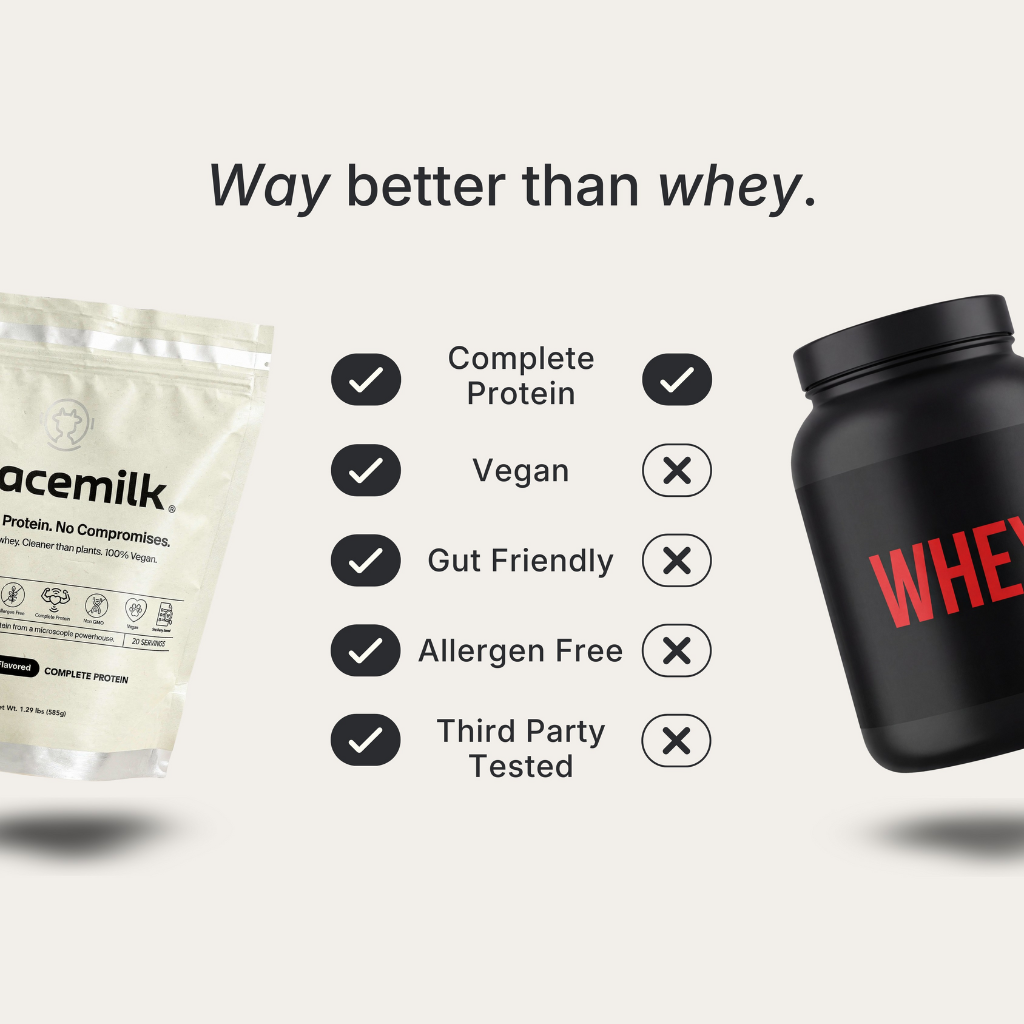 Protein | Vanilla Shake