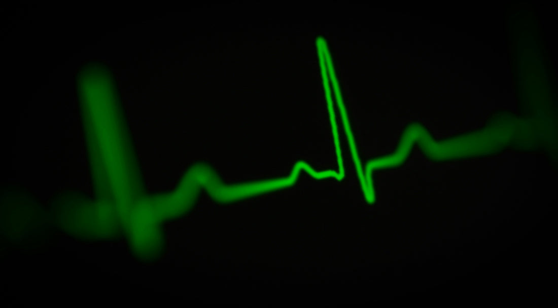 A Closer Look at a Dangerous Modern Epidemic