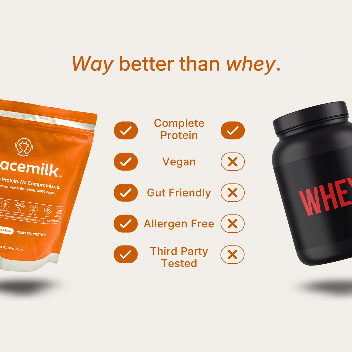 Protein | Pumpkin Spice