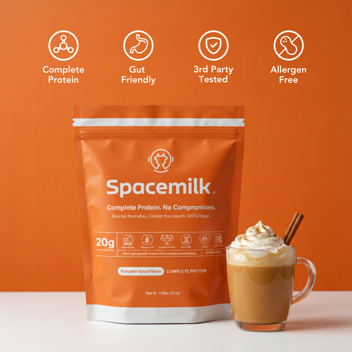 Protein | Pumpkin Spice