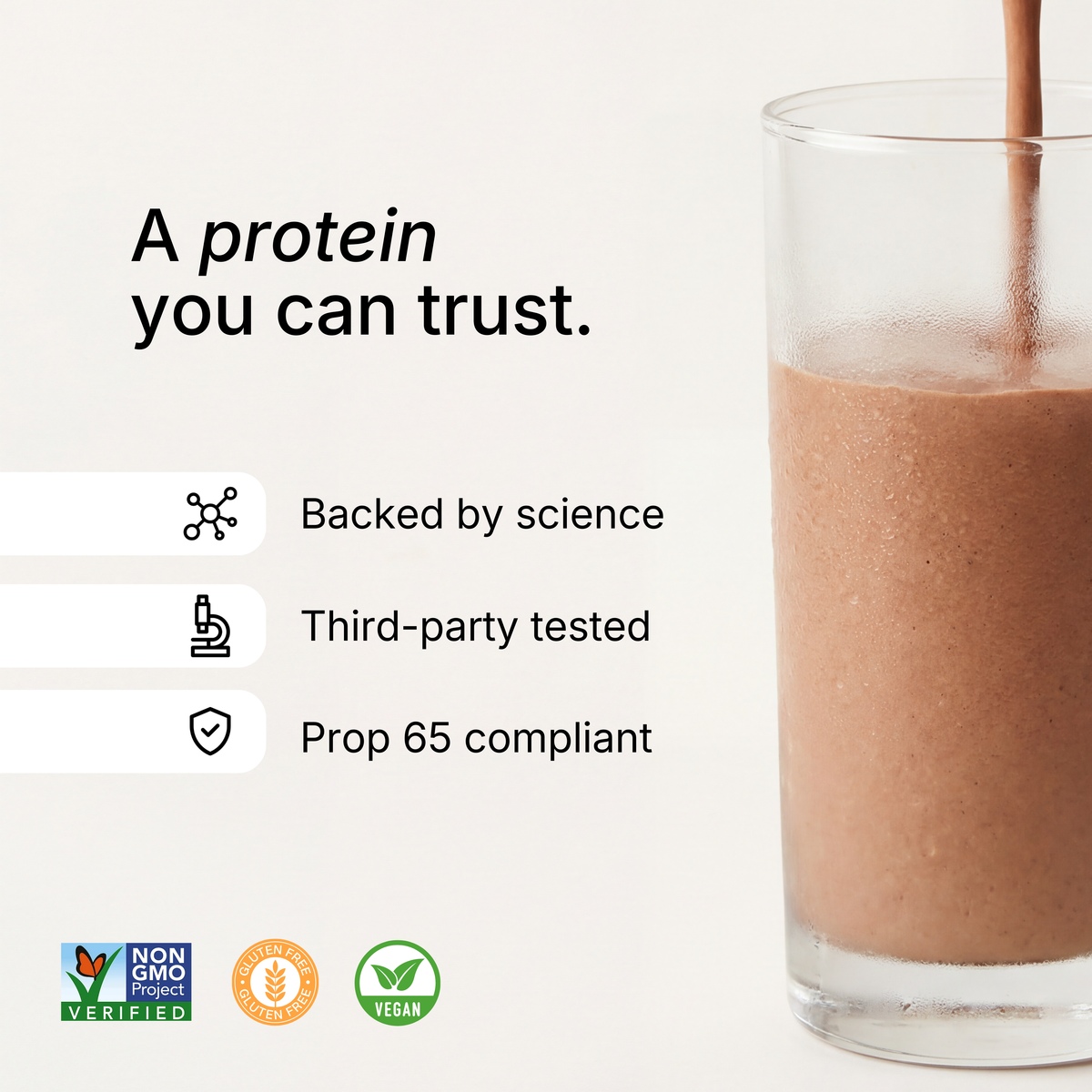 Protein | Pumpkin Spice