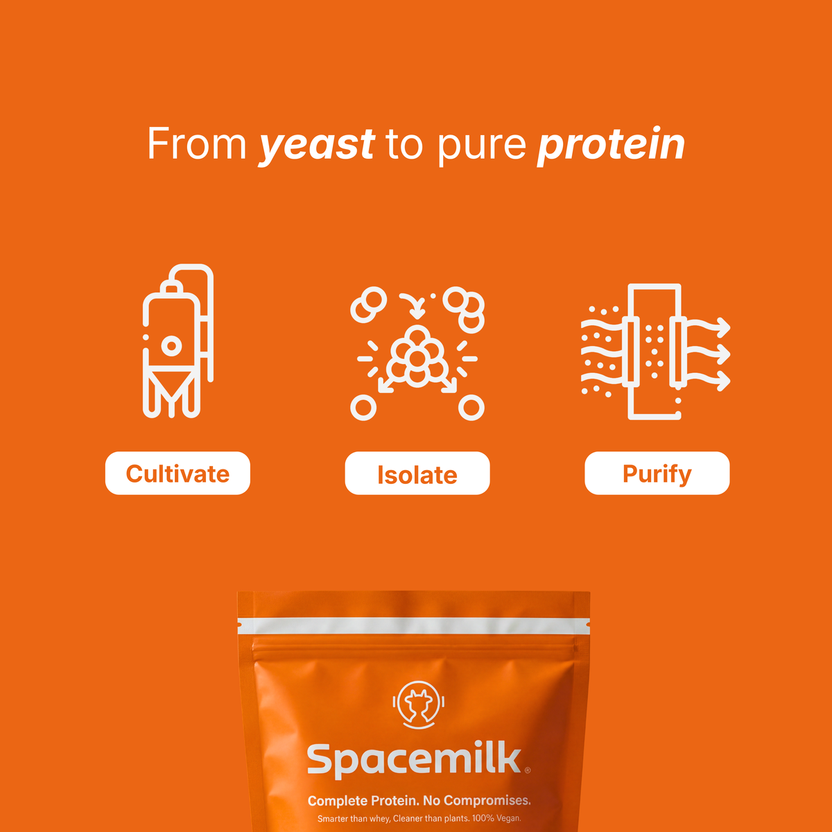 Protein | Pumpkin Spice