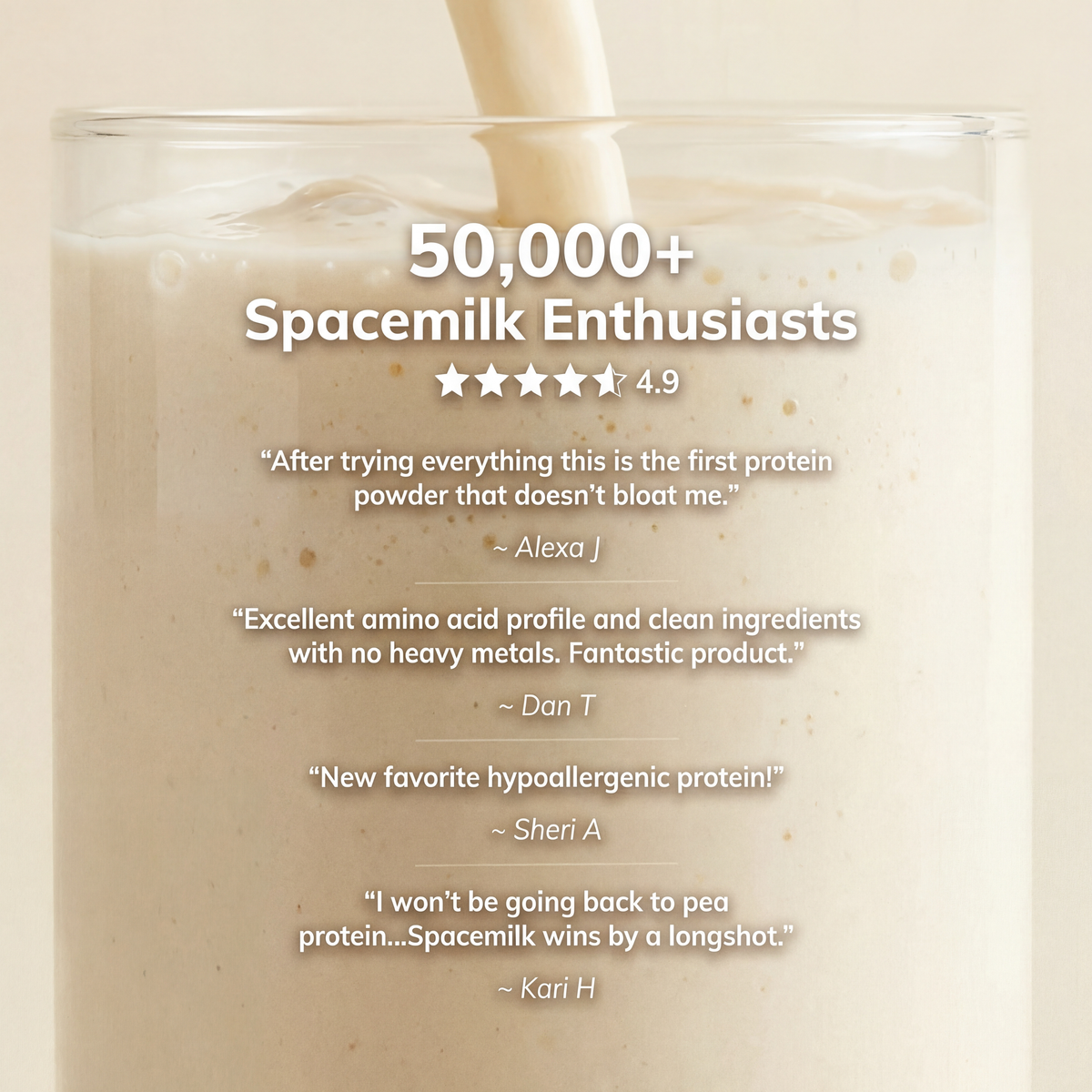 Protein | Pumpkin Spice