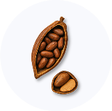 Organic Chocolate Flavor