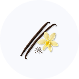 Organic Vanilla Flavor